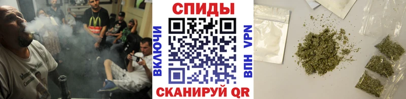 Бутират буратино  Купить где  Макушино 