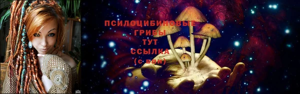 ECSTASY Дмитровск