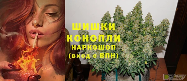 ECSTASY Дмитровск
