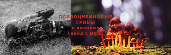 MDMA Premium VHQ Дмитров